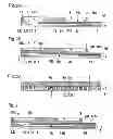 Fig. 03 - Liquid jet head, liquid jet apparatus, and method of manufacturing liquid jet head