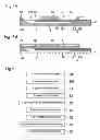 Fig. 04 - Liquid jet head, liquid jet apparatus, and method of manufacturing liquid jet head