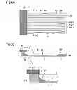 Fig. 06 - Liquid jet head, liquid jet apparatus and method of manufacturing liquid jet head