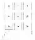 Fig. 09 - Panoramic multi-scale imager and method therefor