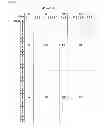 Fig. 05 - Method for displaying 3D caption and 3D display apparatus for implementing the same