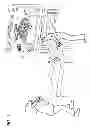 Fig. 02 - Associating an object with a subject