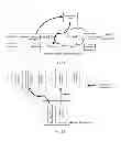 Fig. 07 - Method, apparatus, and system for locating IPTV fault