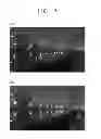 Fig. 06 - Photographing apparatus for scene catergory determination and method for controlling thereof