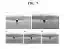 Fig. 08 - Photographing apparatus for scene catergory determination and method for controlling thereof