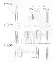 Fig. 10 - Zoom lens system and image pickup device having the same