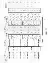 Fig. 10 - Variable transmission window