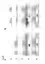 Fig. 06 - Arrangement for thermal actuation of a mirror in a microlithographic projection exposure apparatus