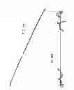 Fig. 07 - Device and method for determining the position of two coupled shafts with respect to each other