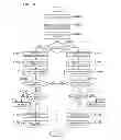 Fig. 10 - Information processing device, method, and storage medium