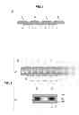 Fig. 04 - Conductive material, conductive paste, circuit board, and semiconductor device
