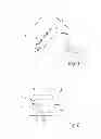 Fig. 02 - LIGHTING DEVICE FOR A MOTOR VEHICLE