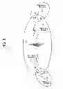 Fig. 02 - Method of operating relay station in wireless communication system