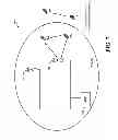 Fig. 08 - Methods and apparatus for enabling distributed frequency synchronization