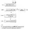 Fig. 12 - Method for acquiring time synchronization in a heterogeneous network and apparatus for the same