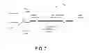 Fig. 06 - Optical fiber with multi section core