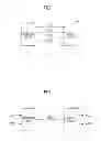 Fig. 02 - Transmitter circuit, receiver circuit, and transmitting/receiving system