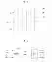 Fig. 05 - Transmitter circuit, receiver circuit, and transmitting/receiving system