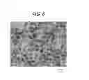 Fig. 04 - Platinum Oxide Colloidal Solution, Manufacturing Method Therefor, Manufacture Apparatus Thereof, and Method of Injection Noble Metal of Boiling Water Nuclear Power Plant