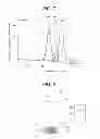 Fig. 05 - Platinum Oxide Colloidal Solution, Manufacturing Method Therefor, Manufacture Apparatus Thereof, and Method of Injection Noble Metal of Boiling Water Nuclear Power Plant
