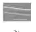 Fig. 07 - Earphone