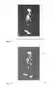Fig. 15 - Posture estimation device, posture estimation method, and posture estimation program