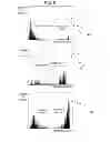 Fig. 06 - X-ray image diagnostic apparatus and method for controlling X-ray generation device
