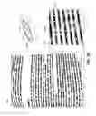 Fig. 07 - Image rectification using text line tracks