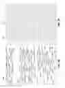 Fig. 08 - Image rectification using text line tracks