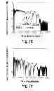 Fig. 06 - Packaged chip for multiplexing photonic crystal microcavity coupled waveguide and photonic crystal slot waveguide devices for chip-integrated label-free detection and absorption spectroscopy with high throughput, sensitivity, specificity, and wide dynamic range