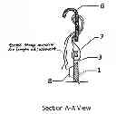 Fig. 01 - Sports camera mounting apparatus