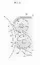 Fig. 07 - Developing device and image forming apparatus