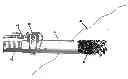 Fig. 01 - Biomass construct for erosion control and structures