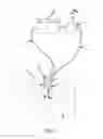 Fig. 02 - INTAKE AND DELIVERY MODULE FOR A FLUID AND ASSOCIATED SYSTEM FOR TREATMENT OF SAID FLUID