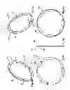 Fig. 09 - Rotary fluid machine operable as a motor or a pump