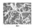 Fig. 04 - System for producing carbon nanotubes from combustion engine exhausts