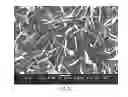 Fig. 06 - System for producing carbon nanotubes from combustion engine exhausts