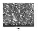 Fig. 07 - System for producing carbon nanotubes from combustion engine exhausts