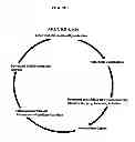 Fig. 02 - METHODS FOR TREATING CHRONIC KIDNEY DISEASE