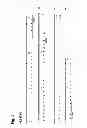 Fig. 04 - Humanized L243 antibodies