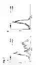 Fig. 08 - Humanized L243 antibodies