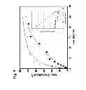 Fig. 10 - Humanized L243 antibodies