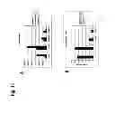 Fig. 12 - Humanized L243 antibodies