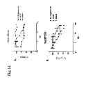 Fig. 13 - Humanized L243 antibodies