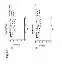 Fig. 14 - Humanized L243 antibodies