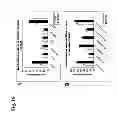 Fig. 17 - Humanized L243 antibodies