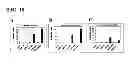 Fig. 19 - Humanized L243 antibodies