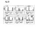 Fig. 23 - Humanized L243 antibodies