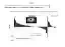 Fig. 10 - FOLATE-TARGETED DIAGNOSTICS AND TREATMENT