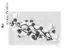 Fig. 02 - Peptides and methods using same